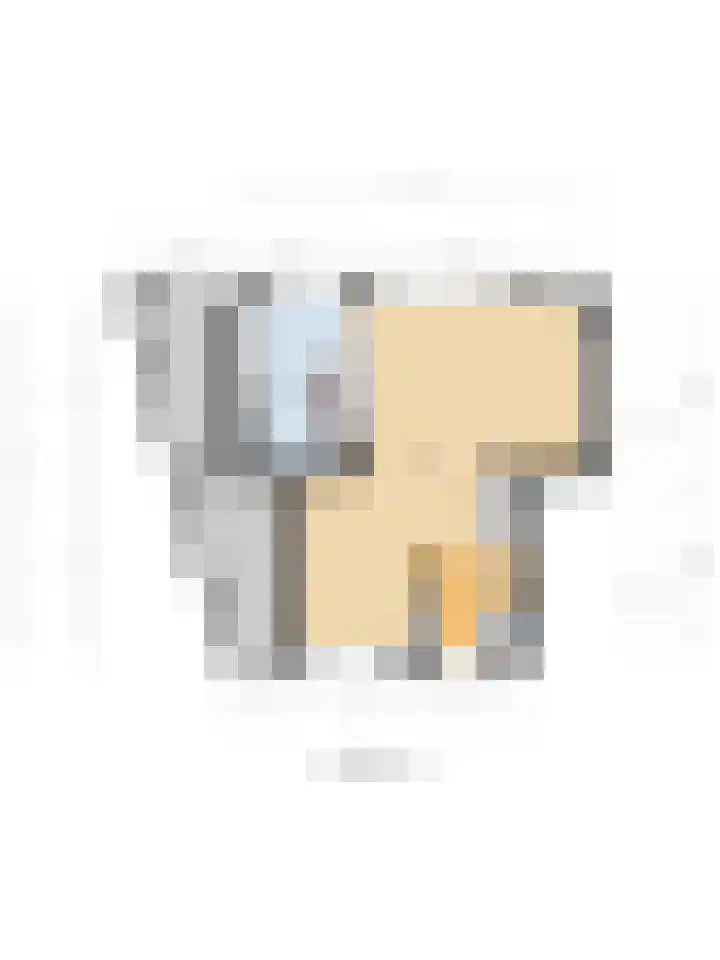Desselaar 26 Oosterhout thumbnail 48