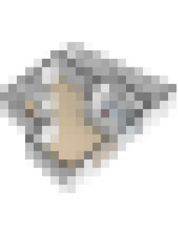 Desselaar 26 Oosterhout thumbnail 53