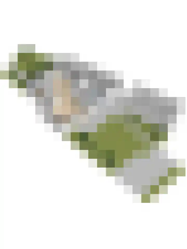 Desselaar 26 Oosterhout thumbnail 56