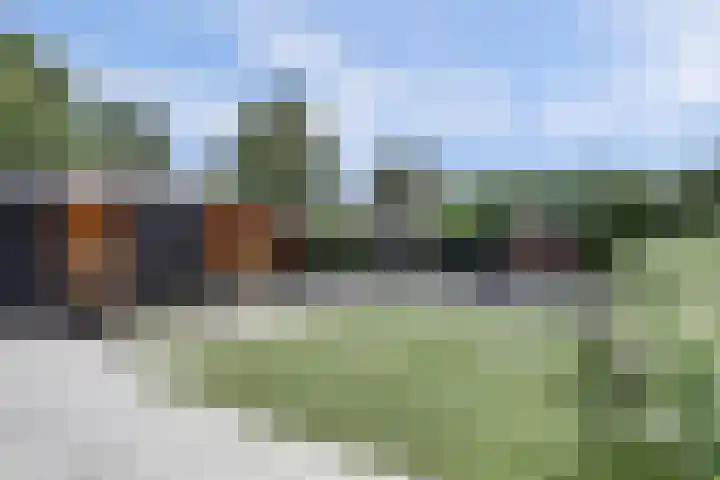 Desselaar 26 Oosterhout thumbnail 6