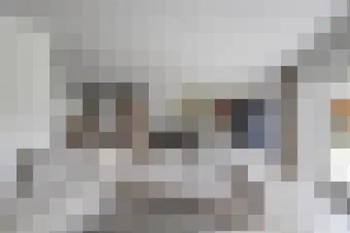 Desselaar 26 Oosterhout thumbnail 9