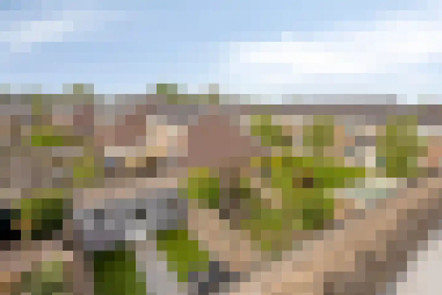 Desselaar 45 Oosterhout thumbnail 31