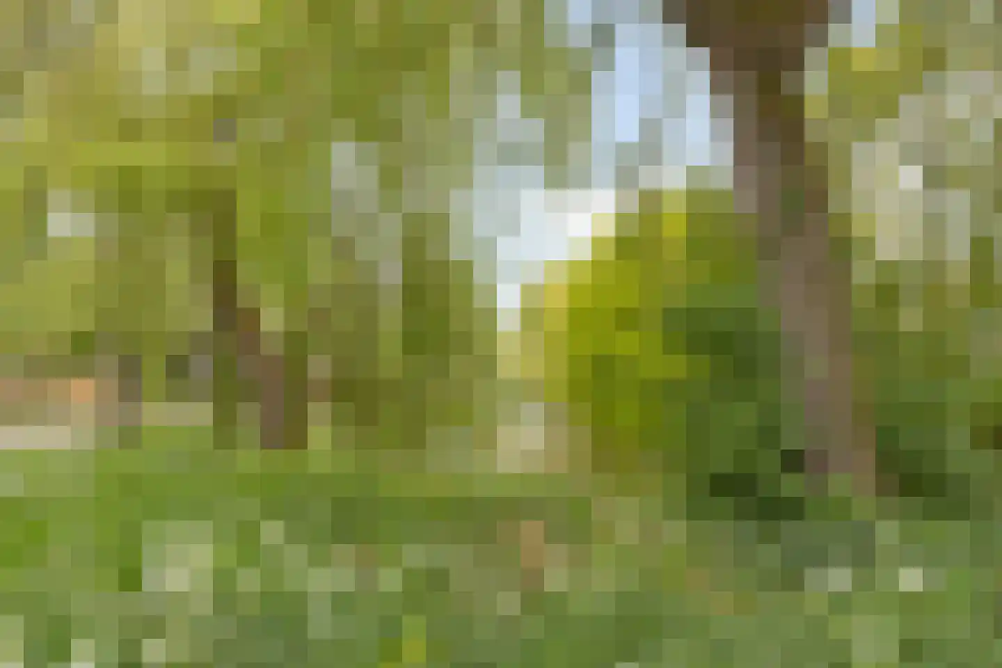 Desselaar 45 Oosterhout thumbnail 39