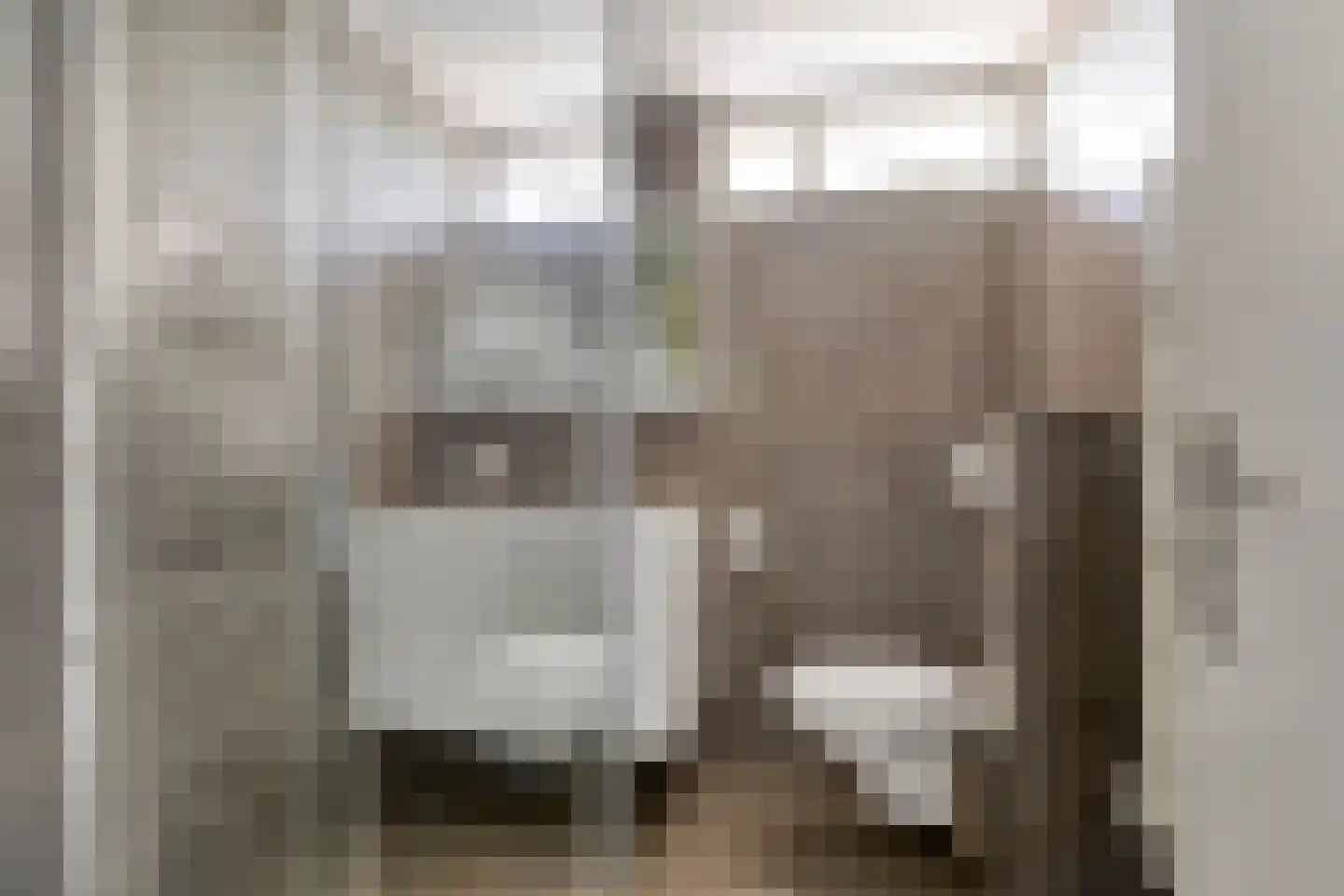 Desselaar 45 Oosterhout thumbnail 5