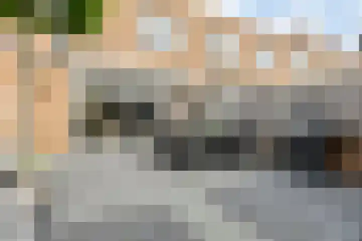 Desselstraat 16 Amsterdam thumbnail 37