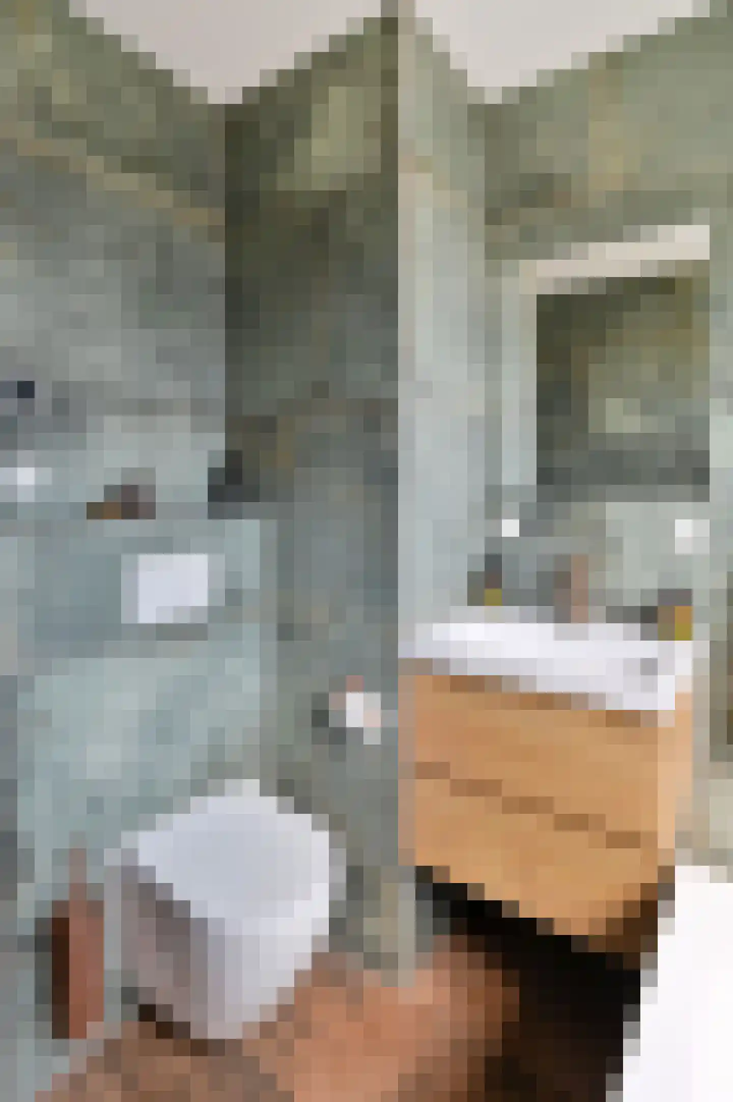 Desselstraat 22 Amsterdam thumbnail 19