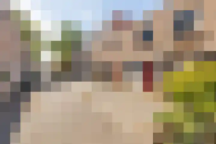 Desselstraat 24 Amsterdam thumbnail 31