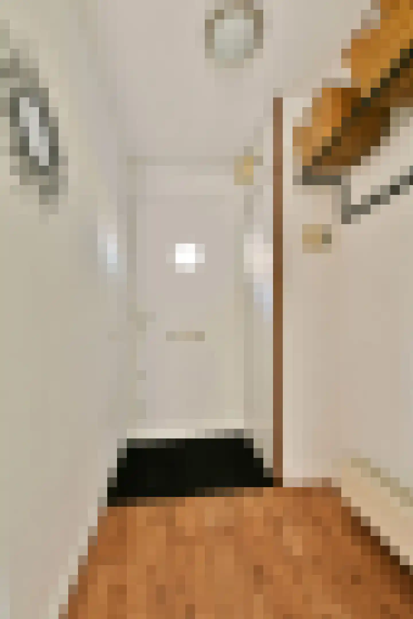 Desselstraat 30 Amsterdam thumbnail 11