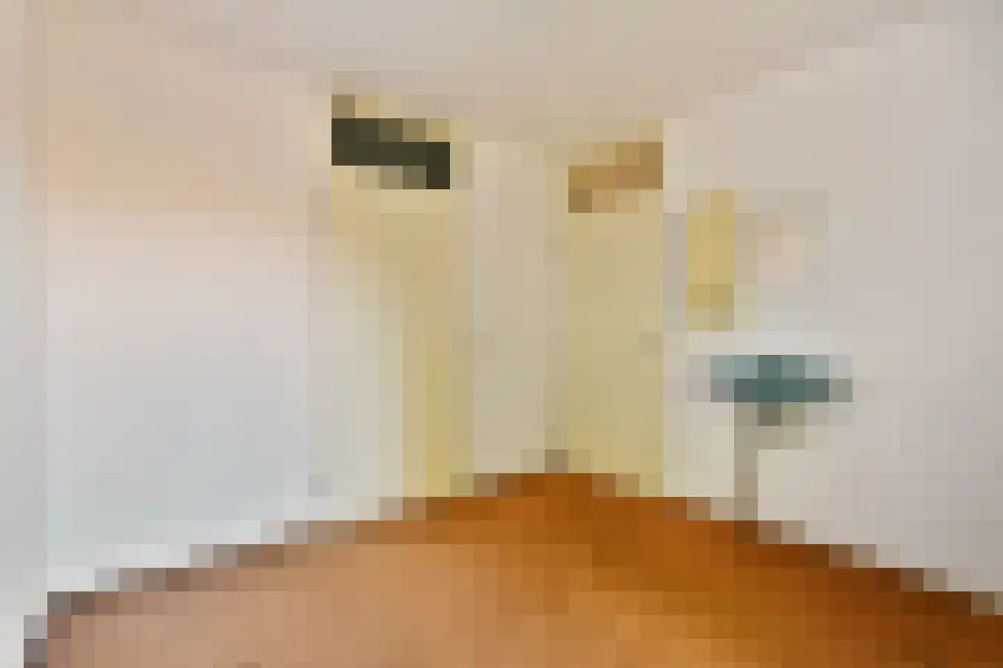 Desselstraat 30 Amsterdam thumbnail 19