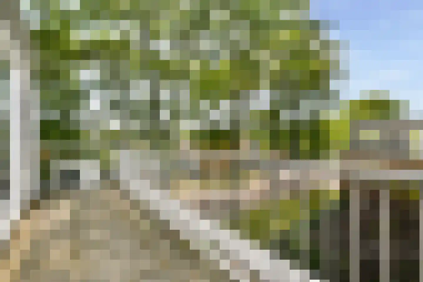 Desselstraat 30 Amsterdam thumbnail 26