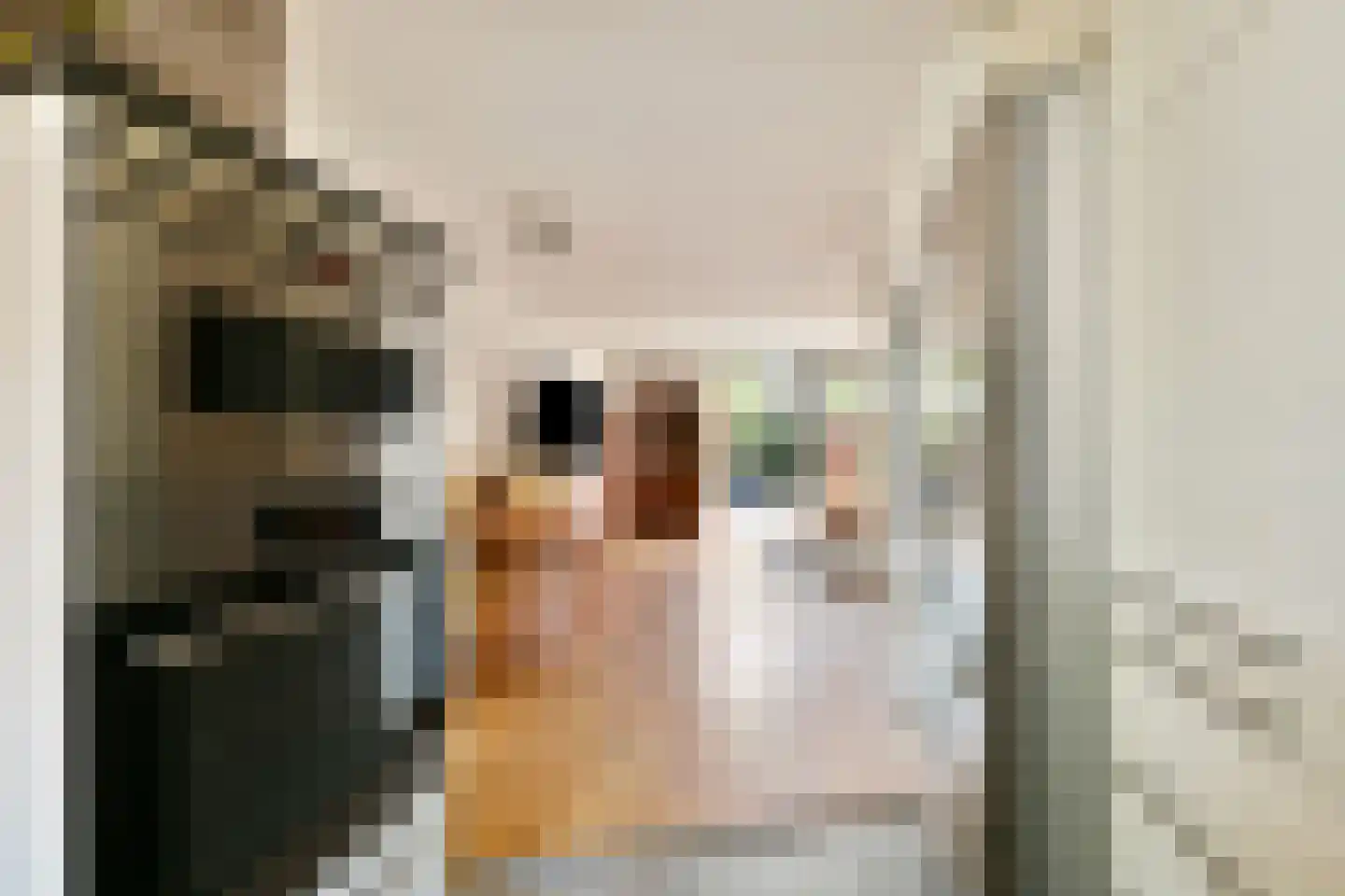 Desselstraat 30 Amsterdam thumbnail 9