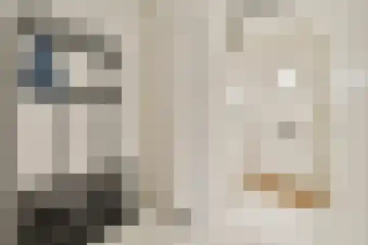 Desselstraat 4 Amsterdam thumbnail 5