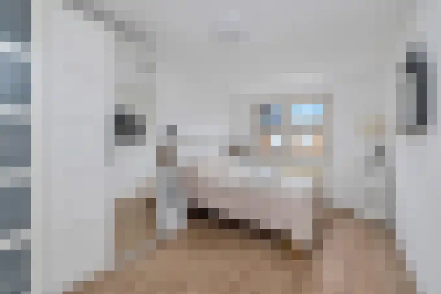 Desselstraat 5 Amsterdam thumbnail 23