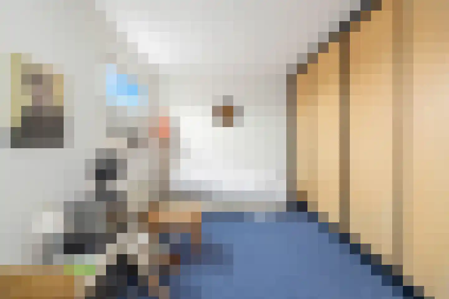 Desselstraat 5 Amsterdam thumbnail 31