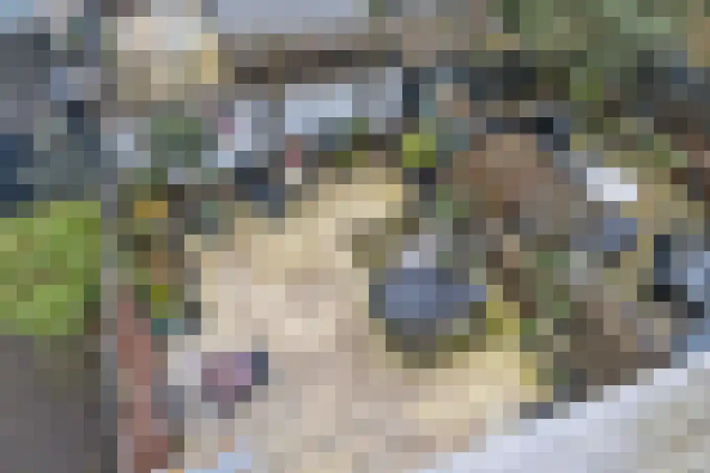 Desselstraat 5 Amsterdam thumbnail 36