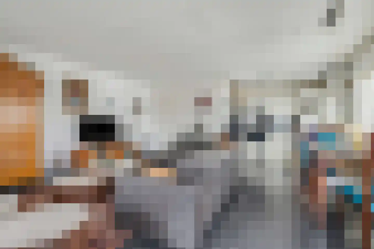 Detmarlaan 24 Ede thumbnail 11