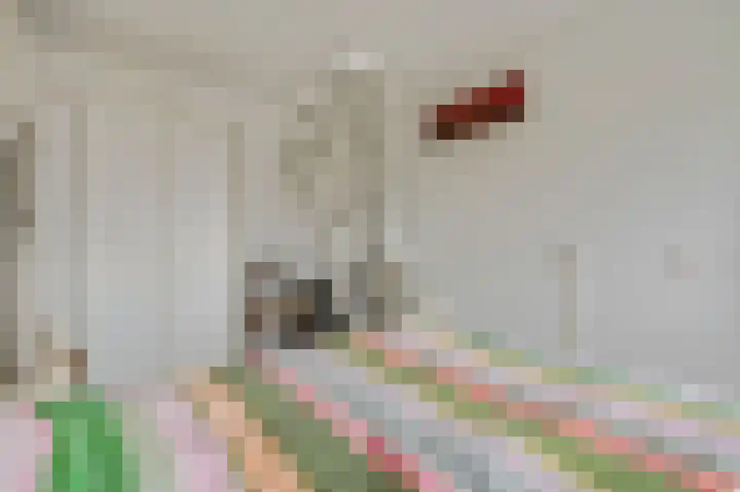 Detmarlaan 24 Ede thumbnail 15