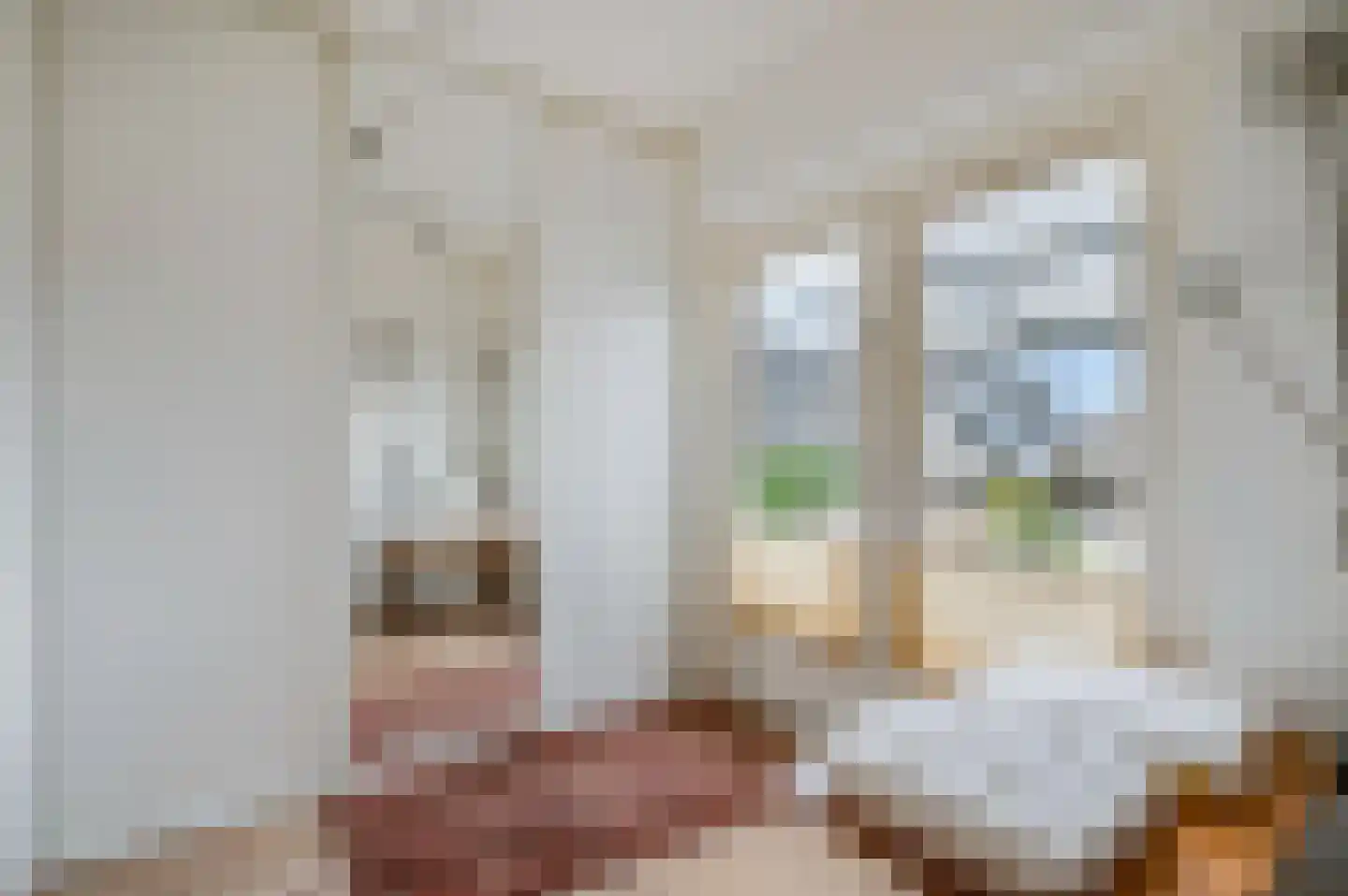 Detmarlaan 24 Ede thumbnail 17