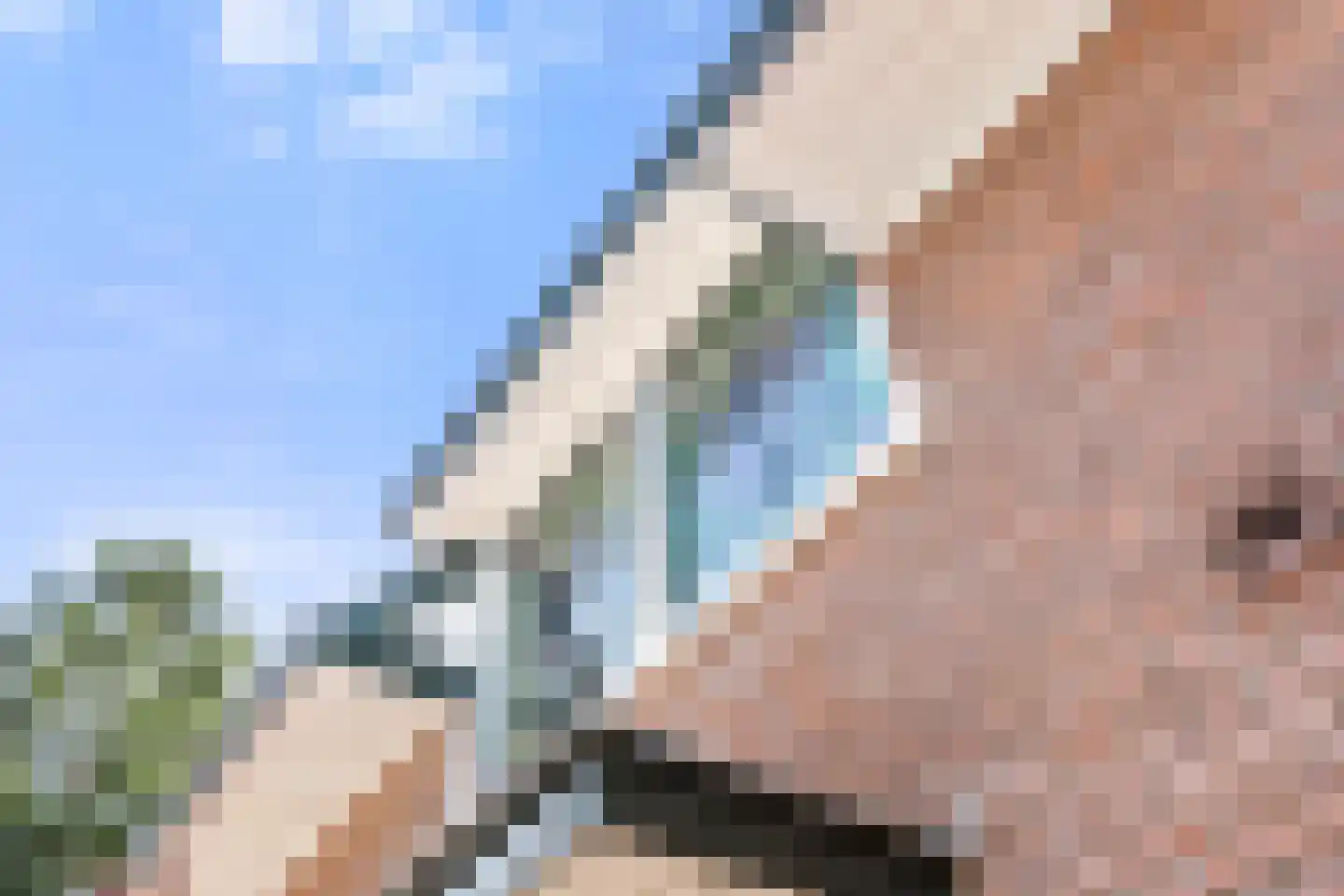 Detmarlaan 6 Ede thumbnail 14