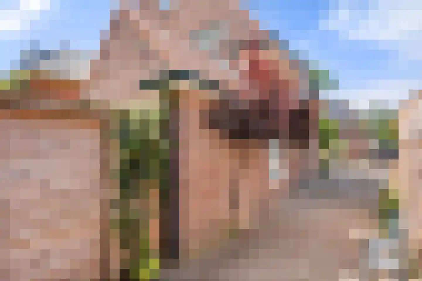 Detmarlaan 6 Ede thumbnail 15