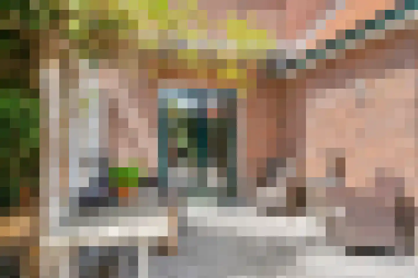 Detmarlaan 6 Ede thumbnail 17
