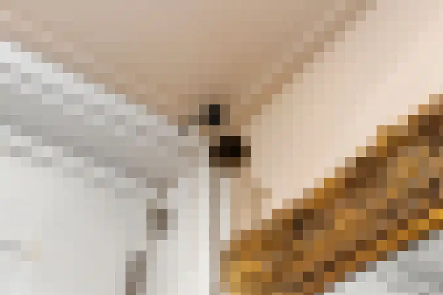 Detmarlaan 6 Ede thumbnail 25