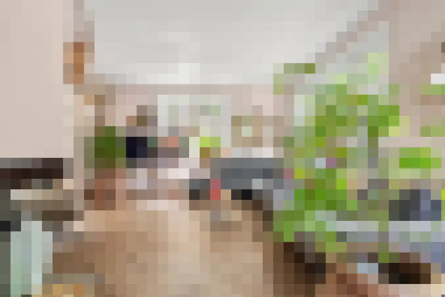 Detmarlaan 6 Ede thumbnail 29