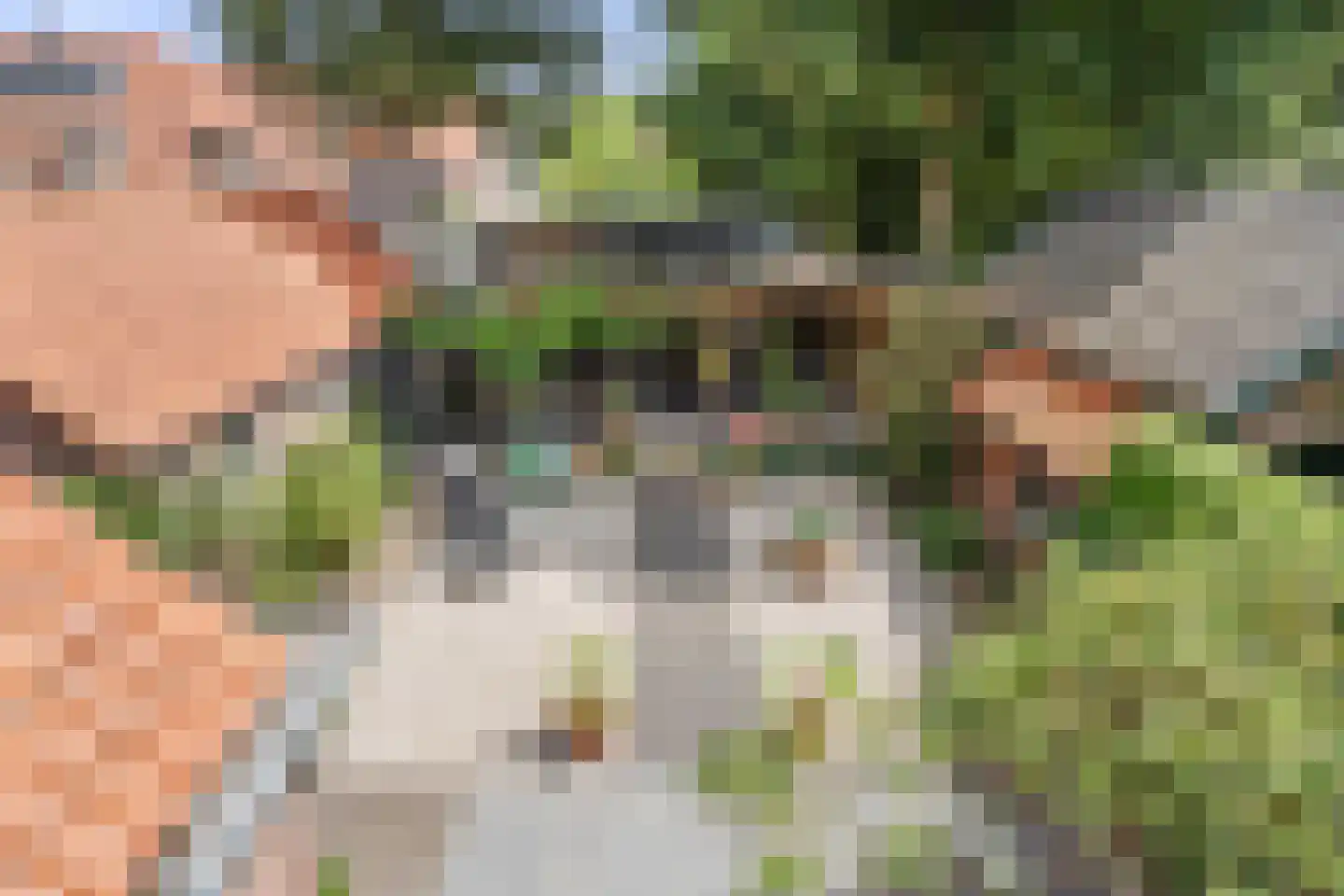 Detmarlaan 6 Ede thumbnail 44