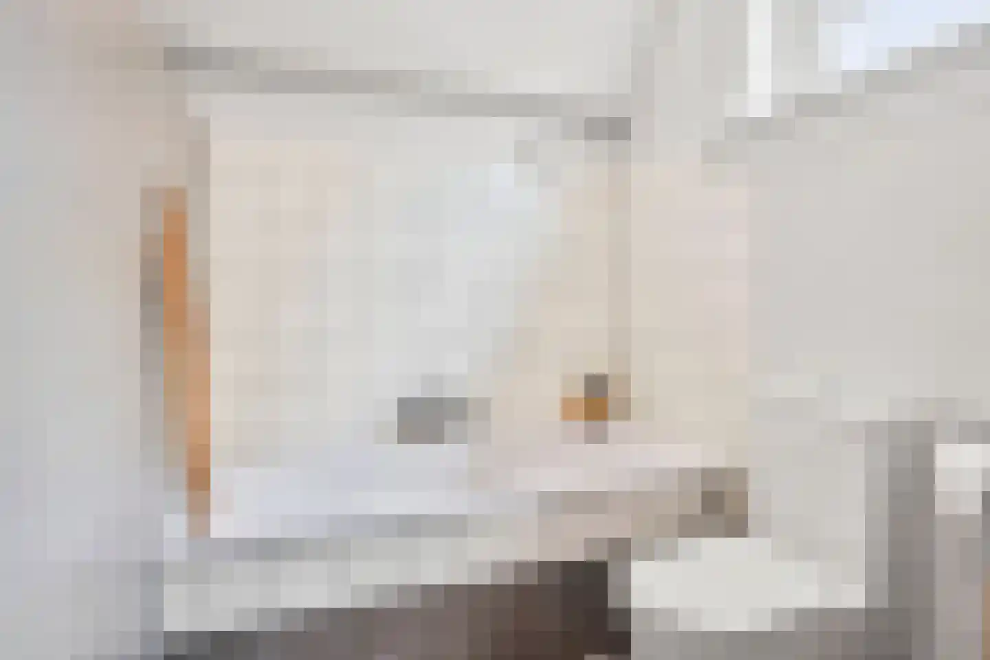 Detmarlaan 6 Ede thumbnail 52