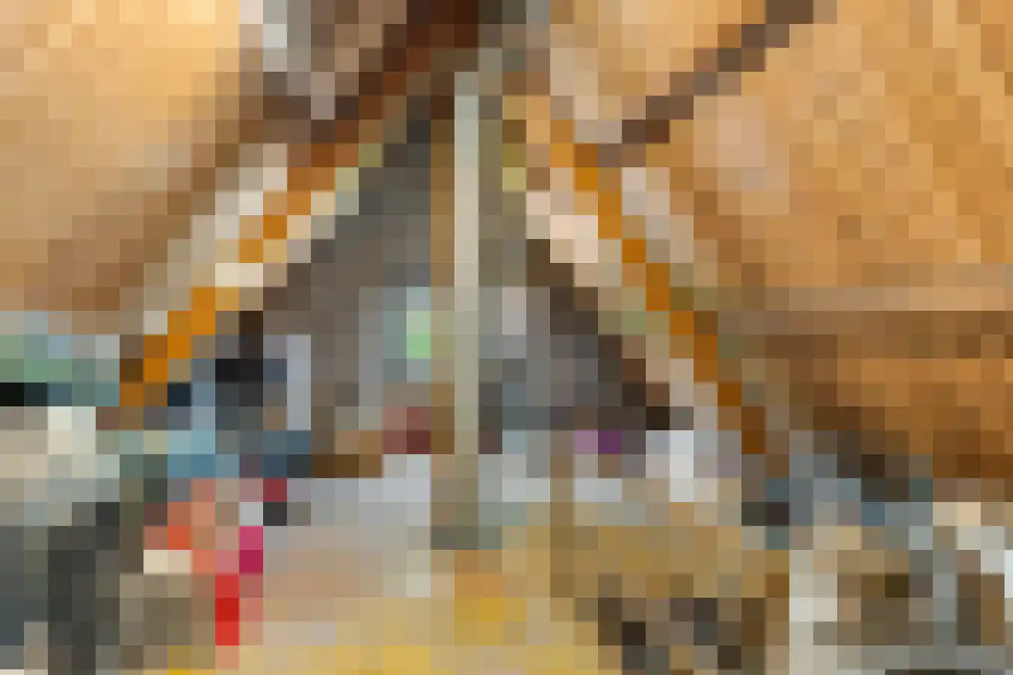 Detmarlaan 6 Ede thumbnail 54