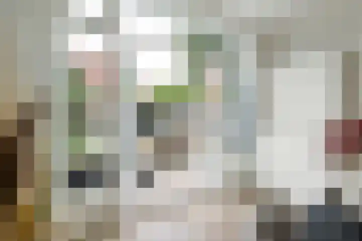 Detmoldstraat 23 Utrecht thumbnail 10