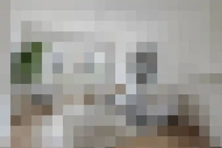 Detmoldstraat 23 Utrecht thumbnail 4
