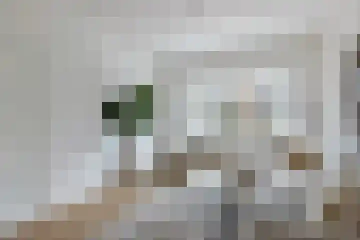 Detmoldstraat 23 Utrecht thumbnail 5