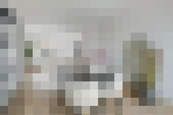 Detmoldstraat 23 Utrecht thumbnail 8