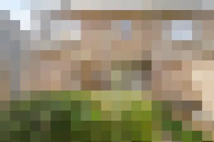 Detmoldstraat 72 Utrecht thumbnail 4