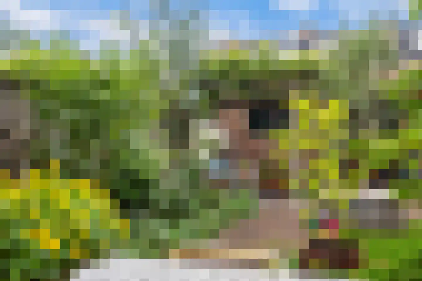 Detmoldstraat 73 Utrecht thumbnail 16