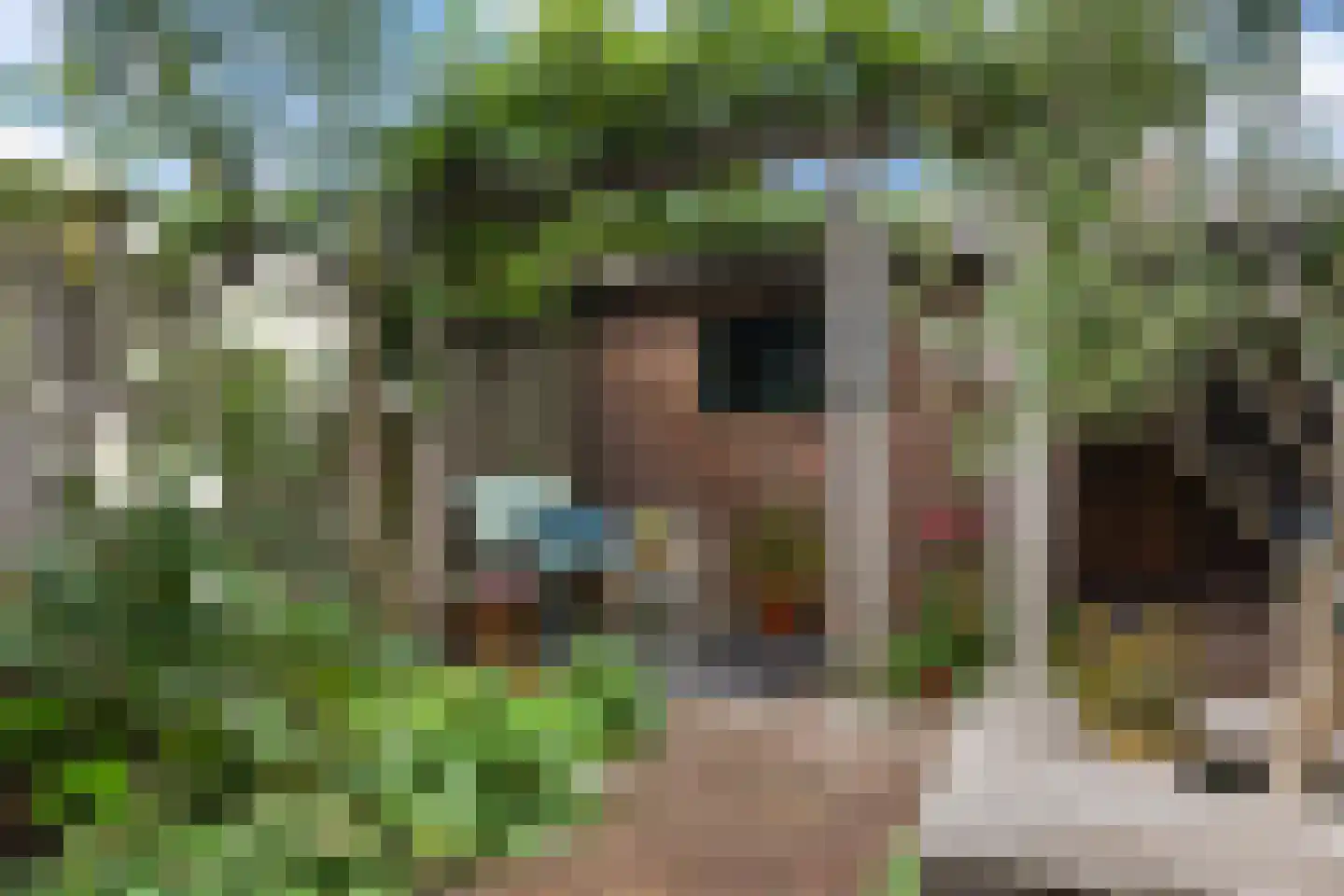 Detmoldstraat 73 Utrecht thumbnail 17
