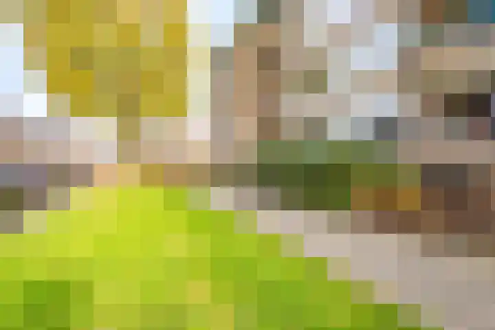 Detmoldstraat 80 1 Utrecht thumbnail 43