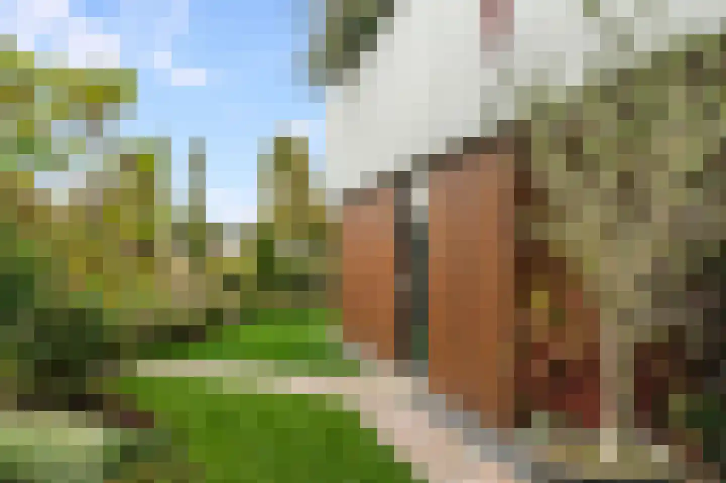 Dettifossstraat 162 Almere thumbnail 61