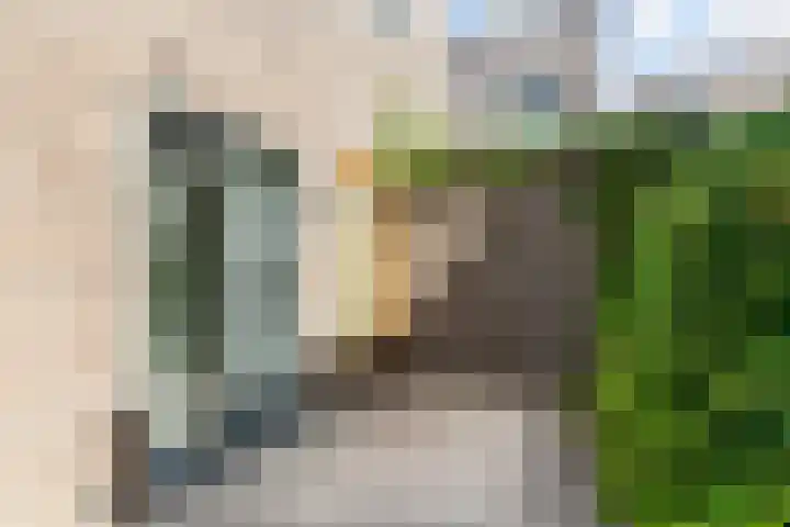 Dettifossstraat 256 Almere thumbnail 12