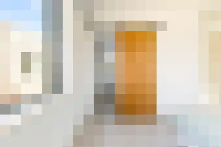 Dettifossstraat 256 Almere thumbnail 41