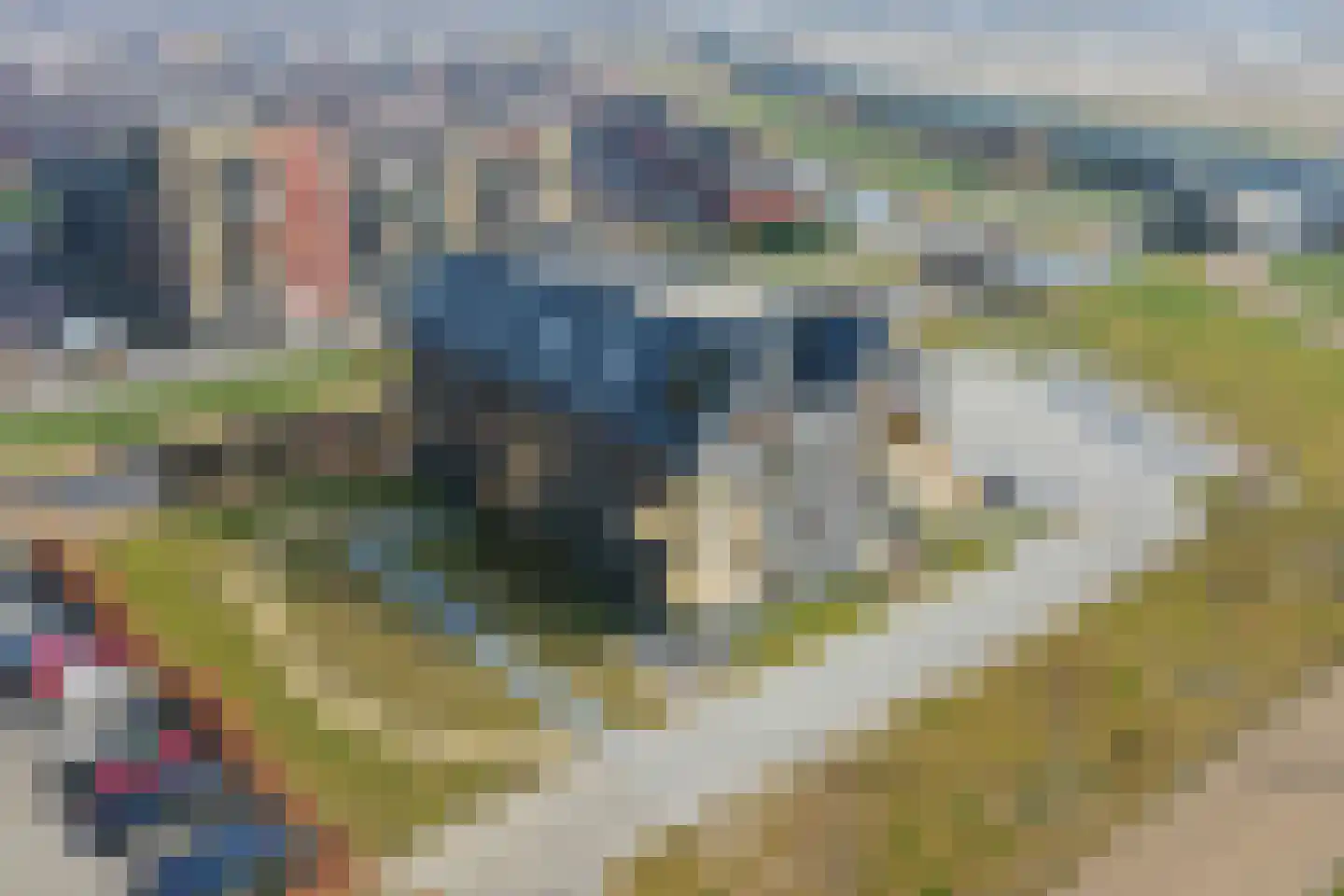 Dettifossstraat 78 Almere thumbnail 46