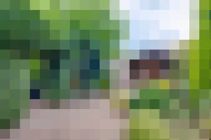 Deugenweerd 27 Borculo thumbnail 4
