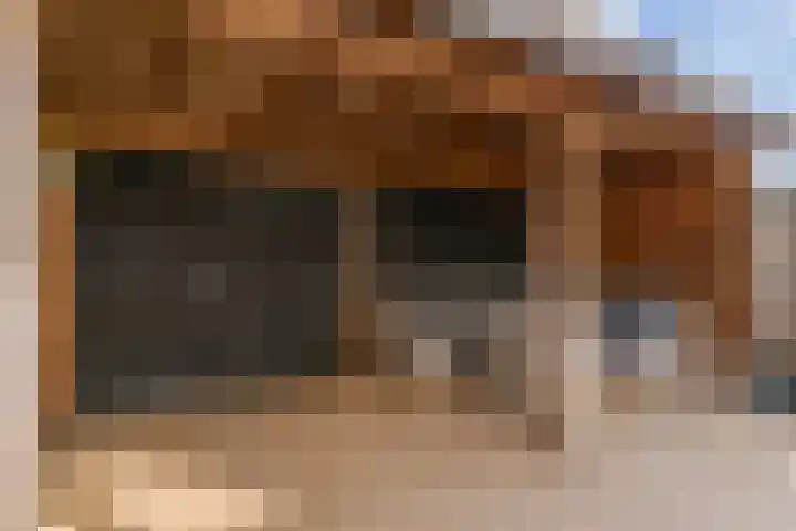 Deukelven 58 Heemskerk thumbnail 36