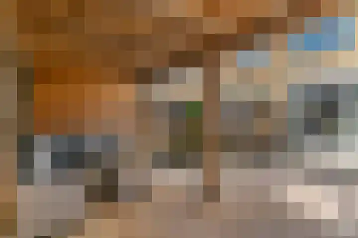 Deukelven 58 Heemskerk thumbnail 40