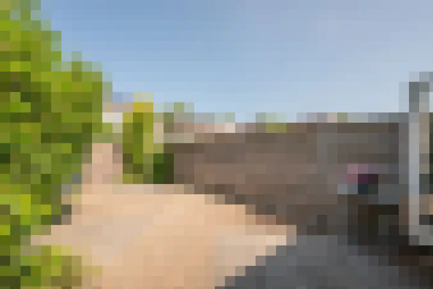 Deukelven 91 Heemskerk thumbnail 20