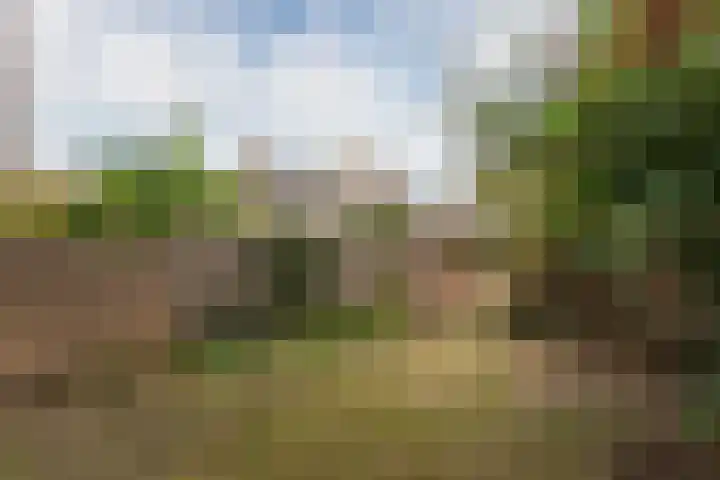 Deurganck 9 Castricum thumbnail 25