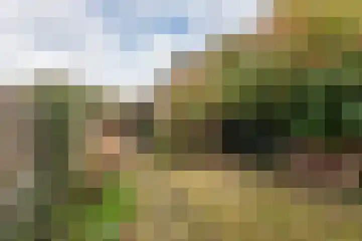 Deurganck 9 Castricum thumbnail 26