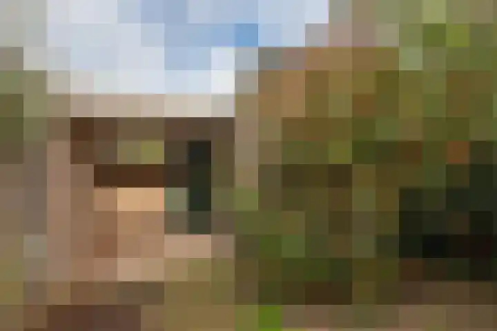 Deurganck 9 Castricum thumbnail 27