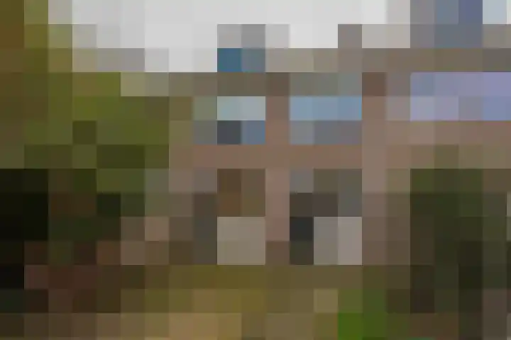 Deurganck 9 Castricum thumbnail 28